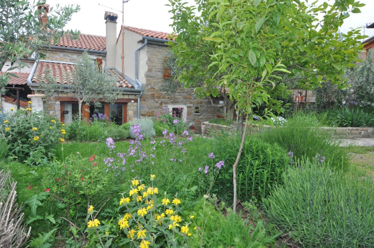 Willa Istrian Stone House Sečovlje Zewnętrze zdjęcie