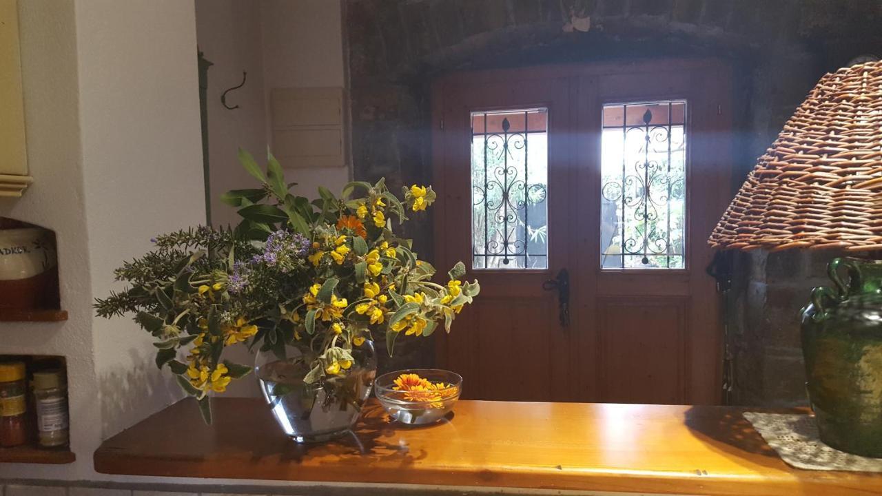 Willa Istrian Stone House Sečovlje Zewnętrze zdjęcie