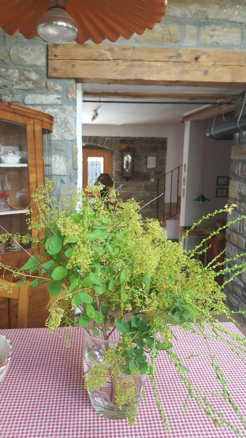 Willa Istrian Stone House Sečovlje Zewnętrze zdjęcie
