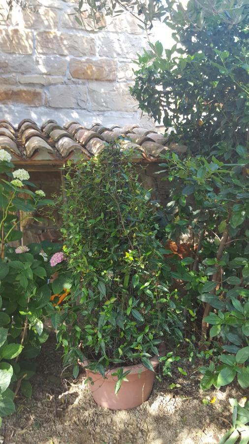 Willa Istrian Stone House Sečovlje Zewnętrze zdjęcie