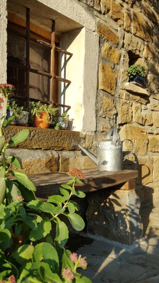 Willa Istrian Stone House Sečovlje Zewnętrze zdjęcie