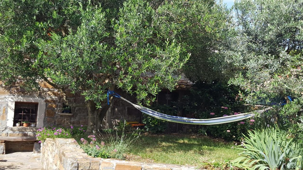 Willa Istrian Stone House Sečovlje Zewnętrze zdjęcie