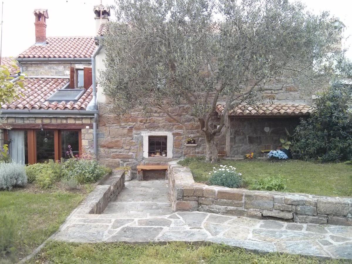Willa Istrian Stone House Sečovlje Zewnętrze zdjęcie