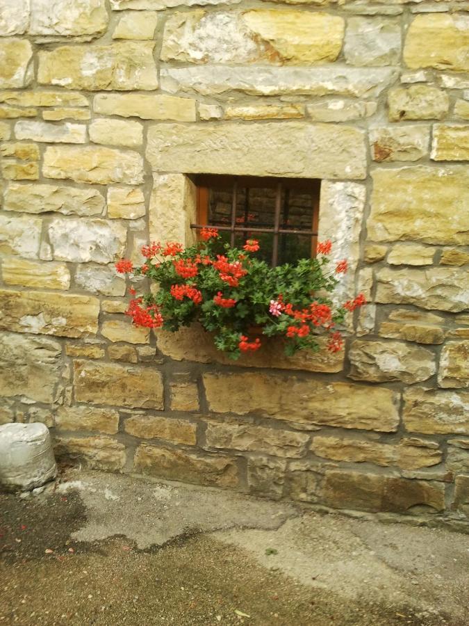 Willa Istrian Stone House Sečovlje Zewnętrze zdjęcie