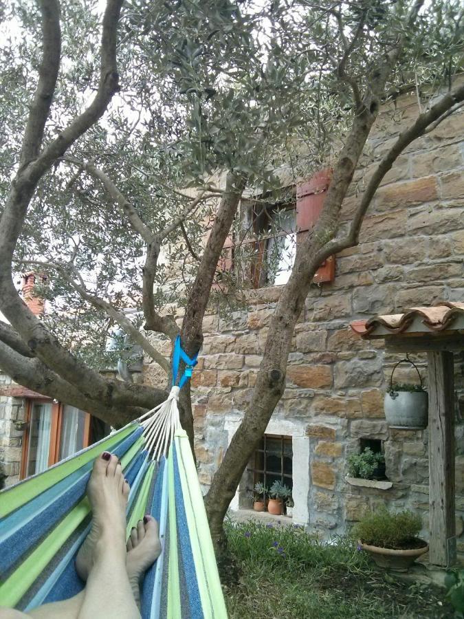Willa Istrian Stone House Sečovlje Zewnętrze zdjęcie