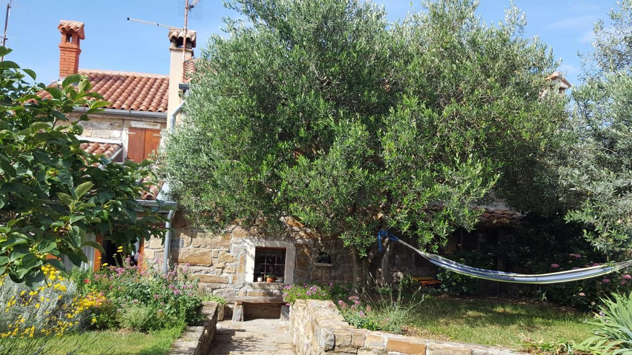 Willa Istrian Stone House Sečovlje Zewnętrze zdjęcie